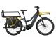 Riese & Müller Multicharger GT Vario (Mixte)