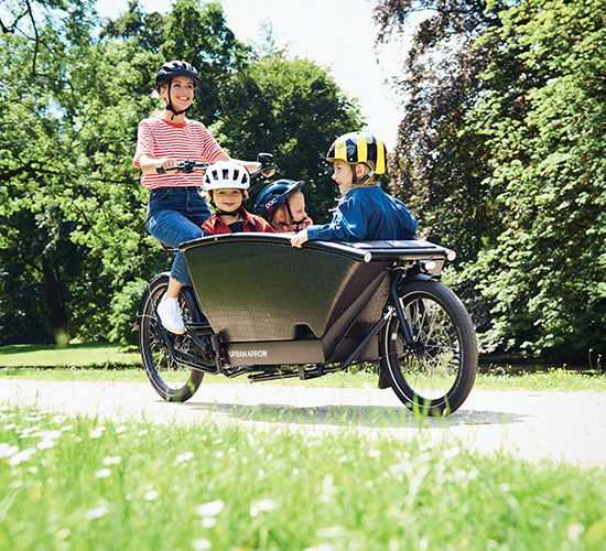 Onbekwaamheid Denken borstel Elektrische fiets kopen bij Urban E-Bikes: dé e-bikespecialist